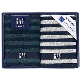 Towel Museum GAP HOME NEW Border Gift Wash Towel 2P B8061605