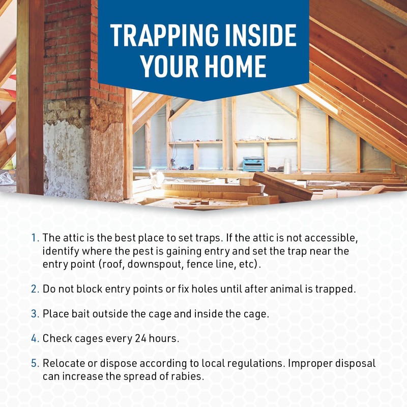 JT Eaton 465N/COV-FOR Wildlife Cage Trap with Cage Coat Cover
