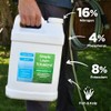 Advanced 16-4-8 Lawn Fertilizer - Liquid Lawn Food Spring &