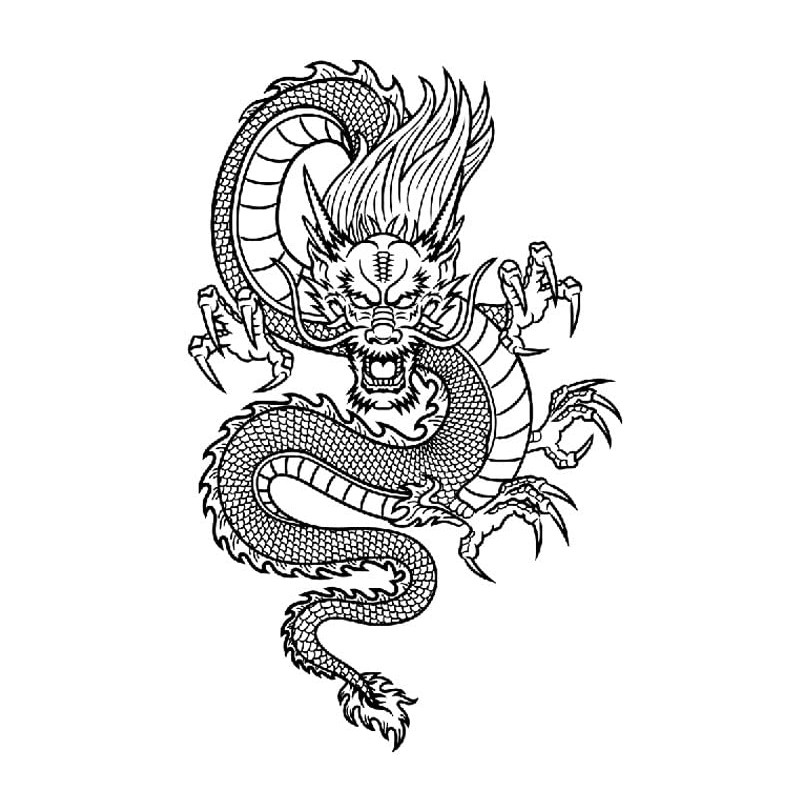 6 Blätter Temporary Drache Tattoo Drachen Tattoo Arm Tattoo Fake