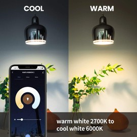 EUARNE Smart Light Bulb WiFi LED Temperature Changing Light Bulb,A19 E26 CW 9W Dimmable Light,Compatible with Alexa, Google Home?No Hub Required?4 Pack, Only for 2.4GHz