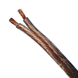Eagle 100' FT 10 AWG GA Speaker Cable Wire 2 Conductor Copper Polarized Bulk High