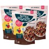 Seven Sundays Nut Granola Cereal, Day Dream Dark Chocolate Raspberry,