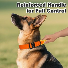 Joytale Heavy Duty Dog Collar with Handle, Adjustable Tactical Military Nylon Collar with Quick Release Metal Buckle for Medium Dogs Walking Training, Soft Lining, Dual Rings, AirTag Case, M, Orange