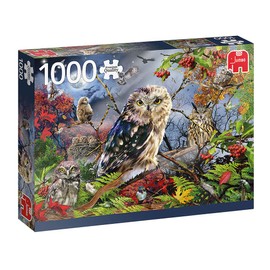 18859 Owls in Moonlight 1000 Pieces Owl Accessories, Multicoloured