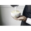 Caffe Umbria Fresh Seattle Whole Bean Roasted Coffee, Terra Sana