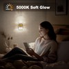 JandCase Night Lights Plug into Wall, Dusk to Dawn Sensor,