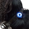 Mountain Paws Dog Collar Safety Light, 4 Colour Modes &