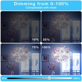 DAYBEETER 24 Pack Dimmable G9 LED Bulb 4W (40 Watt Equivalent), 6000K Daylight White, G9 Halogen Bulb T4 G9 Bi-pin Base Light Bulbs for Chandelier,120V 450LM 360 Beam Angle No-Flicker G9 Bulb