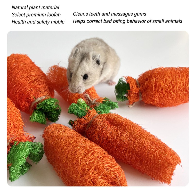 Rabbit Loofah Carrot Toys Natural Funny Teeth Grinding Bite Resistance