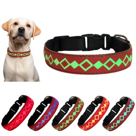 DOGLED LED Dog Collar, 15 Light Modes, USB-C Rechargeable, Adjustable Silicone, Multiple Colors (RED, L(15.7-19.7"))