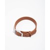 Wild One Collar - Small - Cocoa