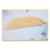 Tape in Hair Extensions Human Hair - Blonde Hair Extension