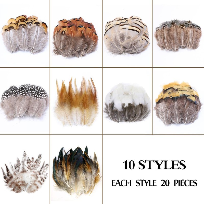 200pcs 10 Style Natural Feathers Assorted Mixed Feathers for Dream