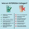 INTEROSA Collagen Powder 500 g - Collagen Peptide Type 1