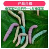 수술후 안대 의료용 보호 눈 플라스틱 방수 안대 투명 5개