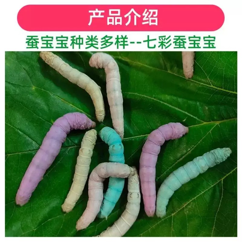 수술후 안대 의료용 보호 눈 플라스틱 방수 안대 투명 5개