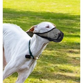 MoiiLavin Dog Muzzle, Adjustable Breathable Soft Mesh Covered Muzzles for Small Medium Large Dogs, Pet Muzzle for Biting Chewing Grooming (Medium)