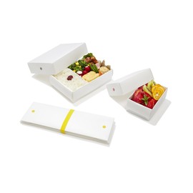 ホーショー 折りたためる フラットランチボックス ビッグ 930ｃｃ グレー 「くり返し使える」 193-B-PG