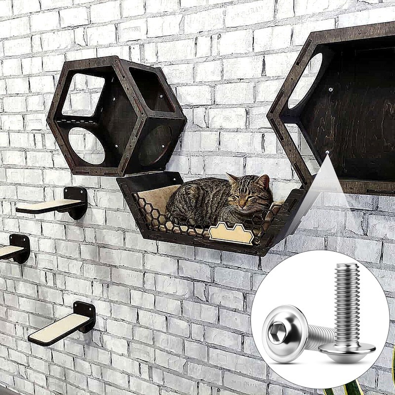 TXXATX M4 x 40 mm Rounded Head Screws Stainless Steel