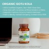 Gotu Kola Organica 650mg Con 90 Capsulas Hecho En Usa