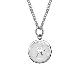 HIJONES Men's Stainless Steel Round Coin Constellation Necklace Zodiac Sign Pendant with Chain, Metal, Metal