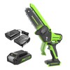Greenworks 24V 6in BL Pruning Saw w/Auto Oiler, (1) 2.0Ah