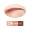 Cezanne Nose & Eyebrow Powder 05 Coral Brown Eyebrow Powder