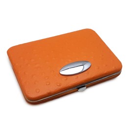 Geneva Manicure Set in Faux Leather Case with 5 Pieces Made of Fine Steel