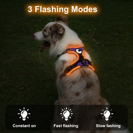 Taglory Light Up Dog Harness, Rechargeable No Pull Dog Vest with 3 Lighting Modes, Reflective Dog Harness with 2 Leash Clips & 4 Adjustable Slide Strips for Large Dogs, Purple-Orange, XL