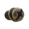 CChiai 20PCS Ceiling Fan Blade Screws with Matching Screwdriver 1/4-inch-20
