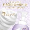 Dove Body Soap, Beauty Moisture, Plush, Foam Body Wash, Rose