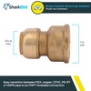 SharkBite 3/4 x 1 Inch FNPT Water Softener Adapter, Push