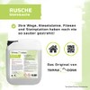 Terra Domi Rusche Stone Cleaner for Clean Pathways & Squares,