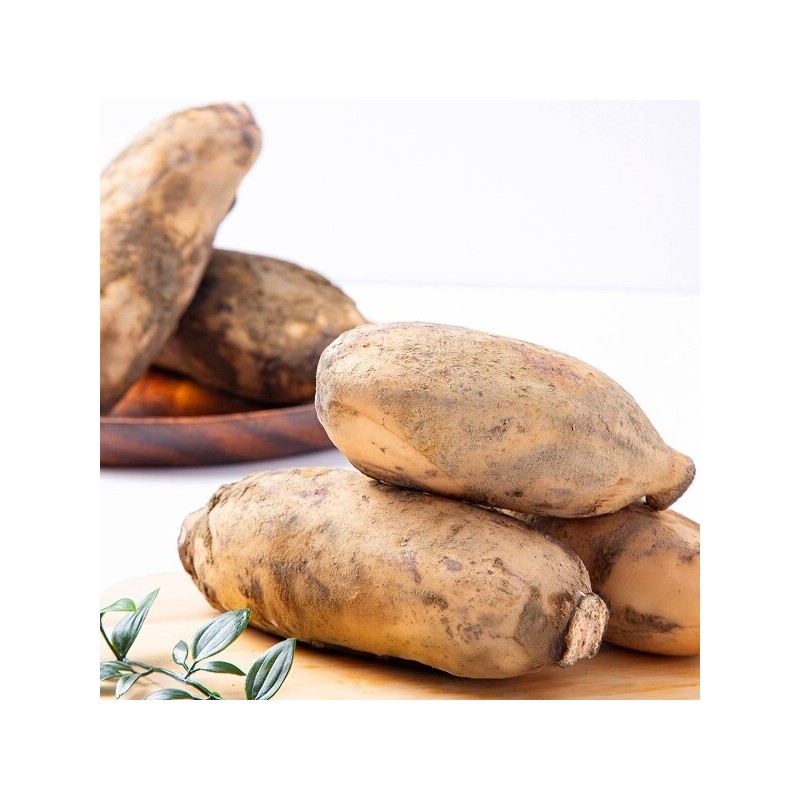 The Jo Eun Fresh Domestic Lotus Root (Medium) 2kg /