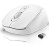 Wireless Mouse for Laptop, 2.4G Wireless Ergonomic Optical Cordless Mobile