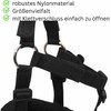 Amesbichler Reitsport HorseGuard Muzzle Feeding Brake for Horses with Teddy