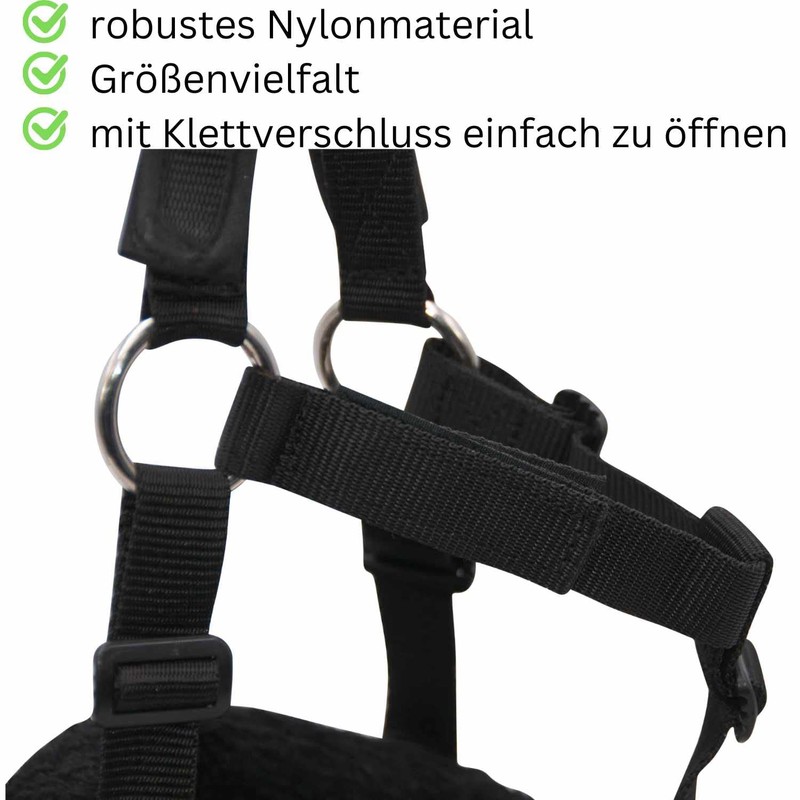 Amesbichler Reitsport HorseGuard Muzzle Feeding Brake for Horses with Teddy