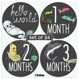 Cohas Monthly Baby Milestone Stickers Include 24 Vinyl Stickers with Chalkboard Background, Ocean Animals