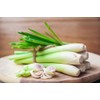 RAISE ME UP: Seeds Lemongrass Cymbopogon Non GMO Heirloom Herb,