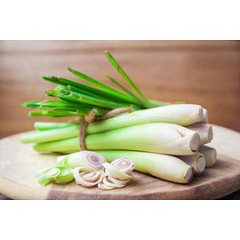 RAISE ME UP: Seeds Lemongrass Cymbopogon Non GMO Heirloom Herb, Clear