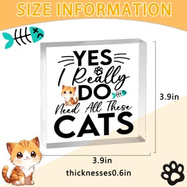 Cat Gifts Birthday Gifts For Cat Lovers Women Daughter Girlfriend Funny Cute Cat Themed Gifts Home Desk Decor