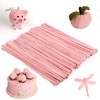 Caydo 100 Pieces Jade Pink Pipe Cleaners Craft Supplies Flexible
