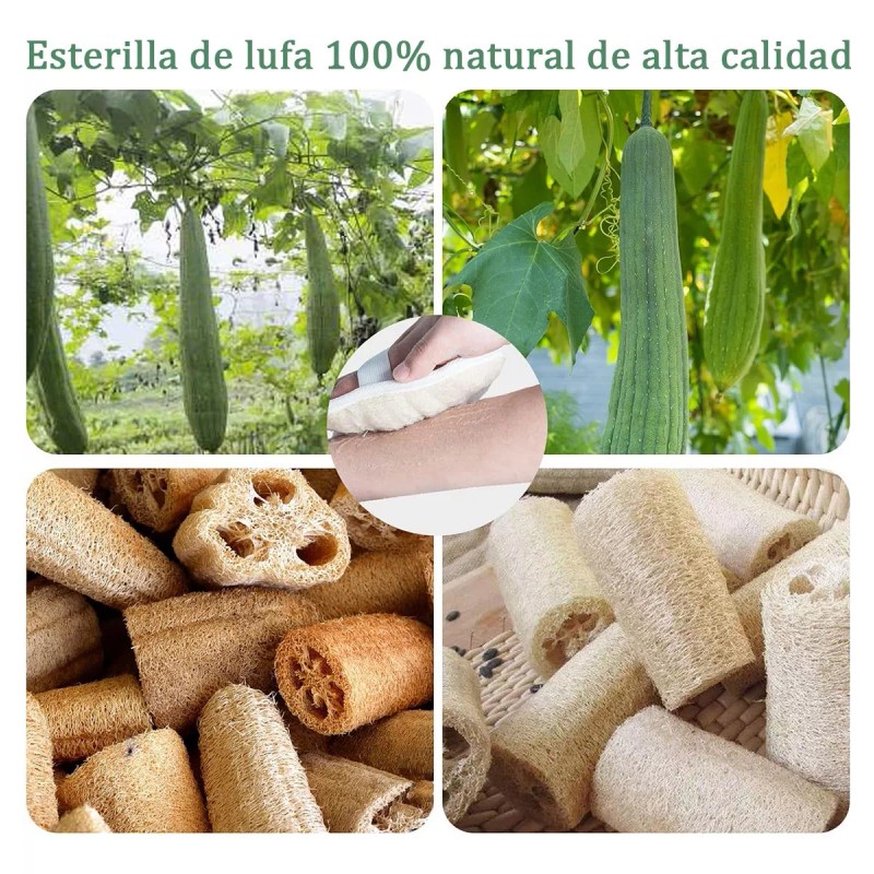 Junelizente Perfiles Exfoliante Natural De Esponja Vegetal Para La Ducha
