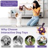 QDAN Interactive Dog Toys, Squeaky Moving Ball Toy with Remote