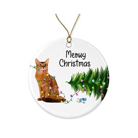 HTDesigns Somali Cat Christmas Ornament - Funny Cats Ornaments - Cute Somali Cat Ornament - Cat Christmas Ornament for Cat Lover Printed on Both Sides