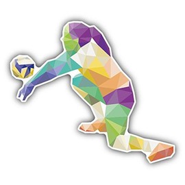 Zirni Volleyball Player Triangulated Sport Sticker Decal Design