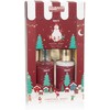 BRUBAKER Cosmetics Bath and Shower Gift Set Winter Berry Fragrance