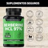 Berberina HCL 97% | 500mg de Berberina Clorhidrato, potenciado con