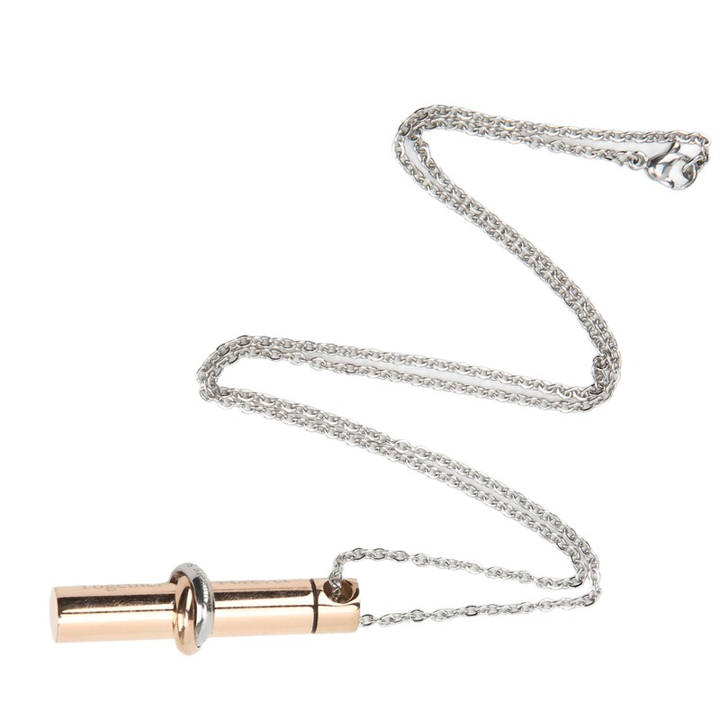 Ashes Necklace 316L Stainless Steel Oxidation Resistant Memorial Cremation Jewelry